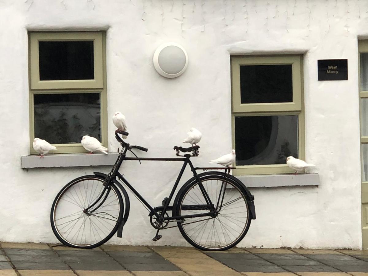 The Carriage Houses At Beechpark House Bunratty Exteriör bild